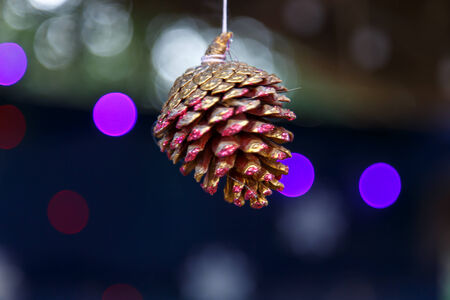 pine tree cone macro detailの写真素材