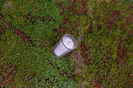 pot candle in natural moss at background