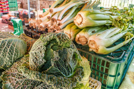 raw Cabbage group from marketplaceの写真素材