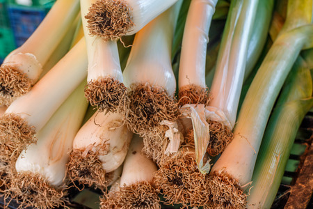 Onions at marketplace.の写真素材