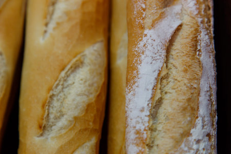 french bread group closeup photograph