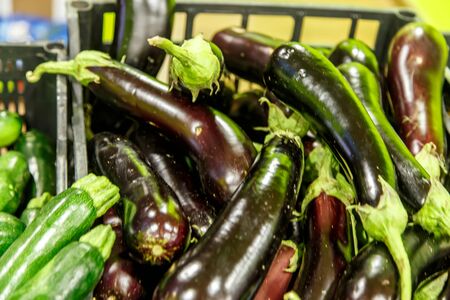 aubergine group from farmers marketの写真素材