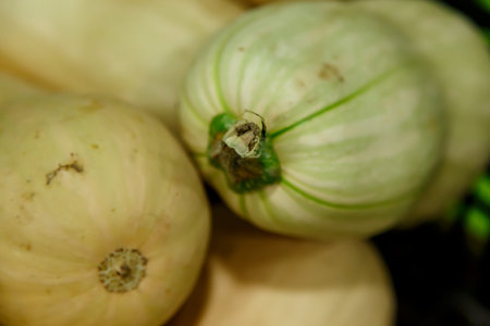 gourd group from farmers market