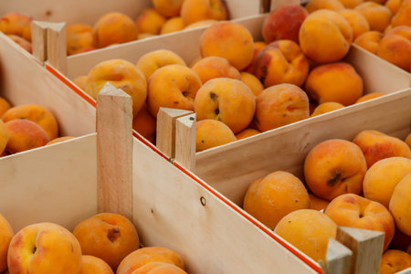 peach group from marketplaceの写真素材