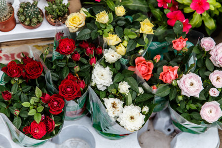 colorful beautiful flowers from the florist's shop