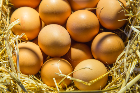 Eggsの写真素材