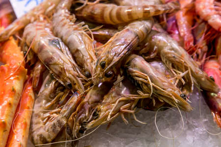 raw shrimps on la boqueria market in Barcelona, Catalonia, Spain.の写真素材