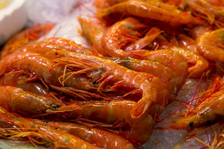 raw shrimps on la boqueria market in Barcelona, Catalonia, Spain.の写真素材