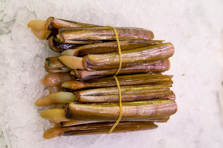 raw razor shells clams on ice for sale at marketの写真素材