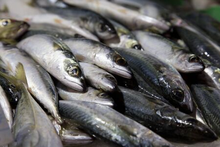 fresh fish on ice from marketplaceの写真素材