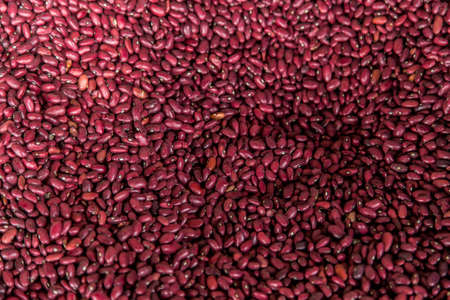 red beans, frijoles from Nicaraguaの写真素材