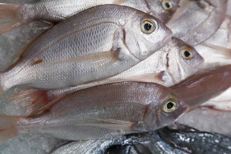fresh fish on ice at the market