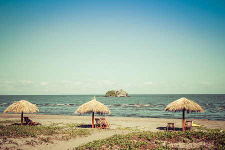natural umbrella on beach, summer vacation concept.の写真素材