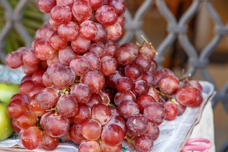 red grapeの写真素材