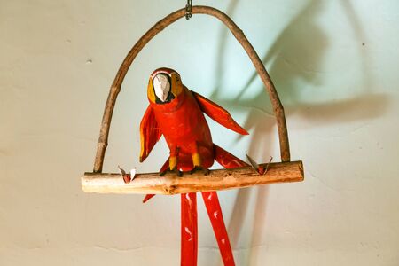 decorative red parrotの写真素材