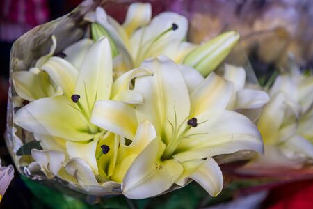 white and yellow tropical flower bouquetの写真素材