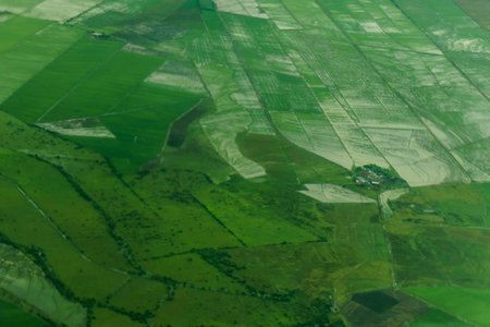 Freshly plowed and sowed farming land from above, neatly cultivated in non-urban agricultural area,...