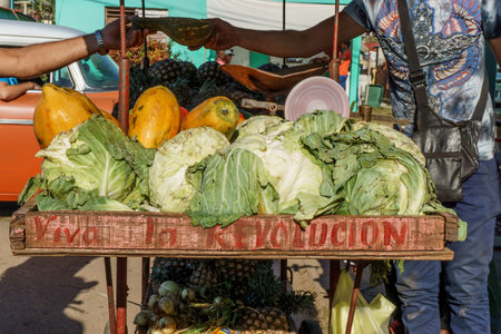 VINALES, CUBA - DECEMBER 29, 2016: selling fruits on the street, cuba.のeditorial素材