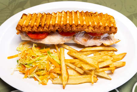 Combined plate with a pork loin sandwich and friesの写真素材