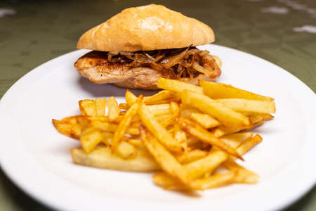 Selective focus on a plate with a pork and onion sandwich with friesの写真素材
