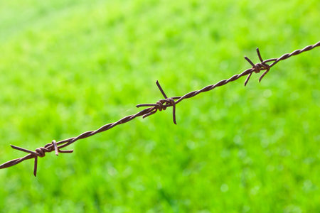 The rusty barbed wire with the green field backgroundの写真素材