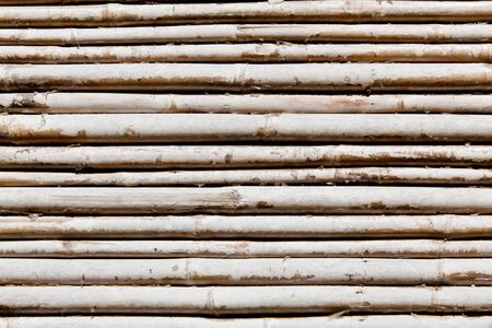 The background image of the natural bamboo wallの写真素材