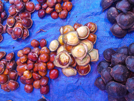 "Jengkol" on a blue background, pilled ofの写真素材