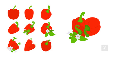 Sweet red peppers on a white background set. Very simple flat style. Various peppers in assortment with leaves, buds and flowers. Can be used in print, web design, banners and other projectsのイラスト素材