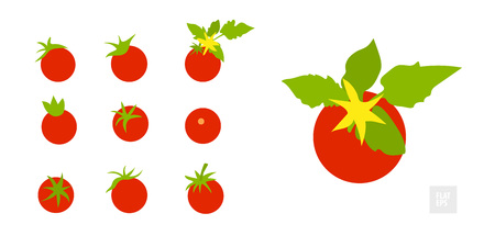 Tomatoes on a white background set. Very simple flat style. Different tomatoes in assortment with leaves and yellow flowers. Can be used as an icon, symbol, and in other simple visualizationsのイラスト素材