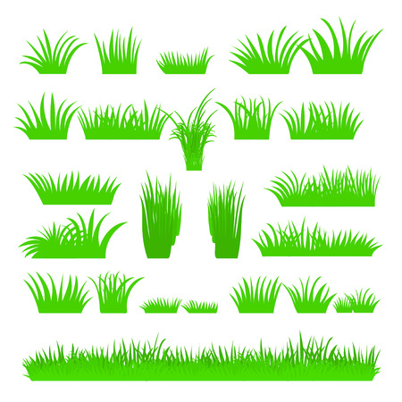 Vector flat abstract green grass set isolated on white background. Spring big fresh grass kit. Tufts of leaves grass. A set of design elements of nature. Vector illustration.のイラスト素材