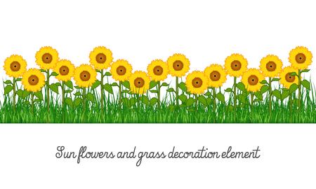 Sunflowers and grass decoration element, isolated on transparent background, cartoon vector illustration.のイラスト素材