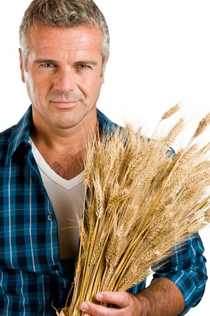 Closeup portrait of mature farmer holding bunch of wheat after the harvest isolated on white backgroundの写真素材