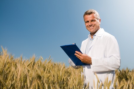 Happy mature technician checking the growth of the wheat for a quality control in a cereal field in summerの写真素材