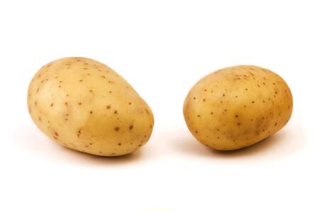 Two raw potato isolated on white backgroundの写真素材