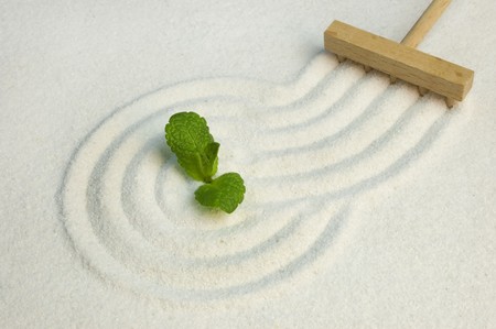 Green leaf on raked white sand of a zen garden. Symbol of life and meditation.の写真素材
