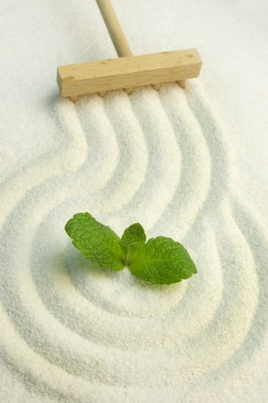 Green leaf on raked white sand of a zen garden. Symbol of life and meditation.の写真素材