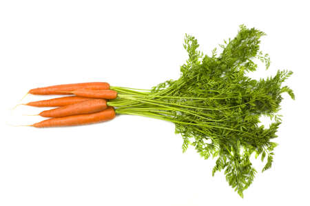 Fresh and ripe bunch of orange carrots isolated on white backgroundの写真素材