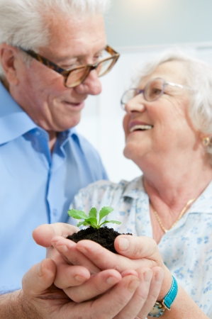 Old retired couple holding a fresh plant in their hands, symbol of good bank investments for the retirementの写真素材