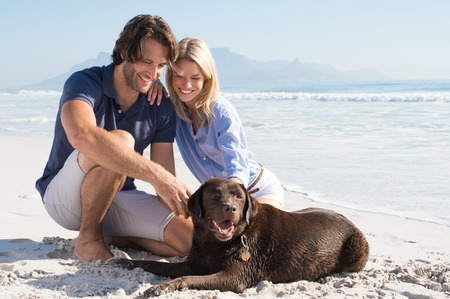 Cheerful couple at beach playing with labrador retriever. Couple relaxing at beach with their pet. Happy couple with their dog at the beach on a sunny day.の写真素材