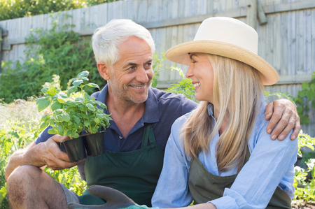 Smiling mature couple gardening together. Senior couple wearing straw hat and planting basil in the garden. Man hugging his woman in the garden.の写真素材