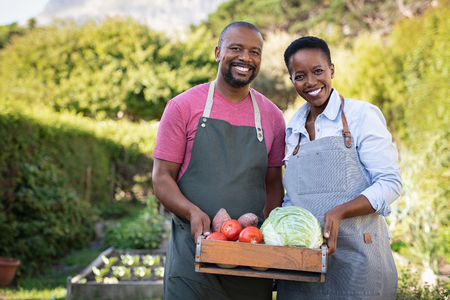 Portrait of happy black farmer couple holding a crate of bio vegetables in the farm. Smiling african man and mature woman showing box of vegetables and looking at camera. Satisfied farmers holding a basket of harvested vegetables.の写真素材