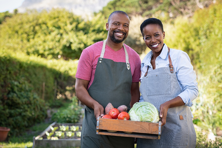 Portrait of happy black farmer couple holding a crate of bio vegetables in the farm. Smiling african man and mature woman showing box of vegetables and looking at camera. Satisfied farmers holding a basket of harvested vegetables.