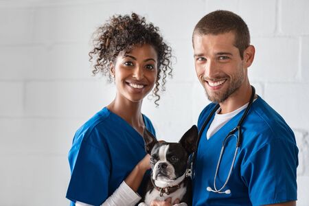 Adorable cute dog sitting at vet hospital with doctors looking at camera. Cheerful vet and african nurse holding boston terrier in clinic. Portrait of happy veteranian man and woman with pet.の写真素材