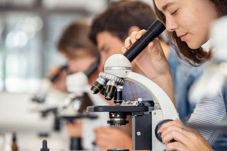 Close up of young woman seeing through microscope in science laboratory with other students. Focused college student using microscope in the chemistry lab during biology lesson. University students studying in high school science laboratory.の写真素材