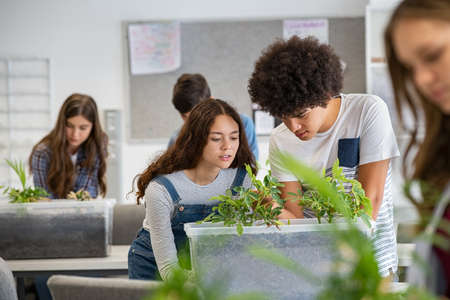 Multiethnic students analyzing and working on plant experiment in school lab. Group of high school students in science laboratory understanding the study of roots with plants. Young man and girl studying  and examine the growth of sprouts in university class.の写真素材