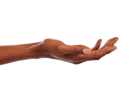 Close up of african american woman hand with palm facing upwards with copy space. Woman hand showing empty hand isolated against white background. Empty open female palm ready for your beauty product.の写真素材