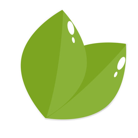 vector leaf illustrationのイラスト素材