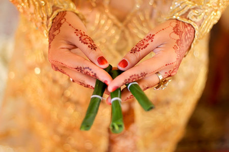 Gantal Suruh For Javanese Wedding Ceremony Called Panggih