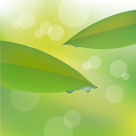 Waterdrop_leaf のイラスト素材