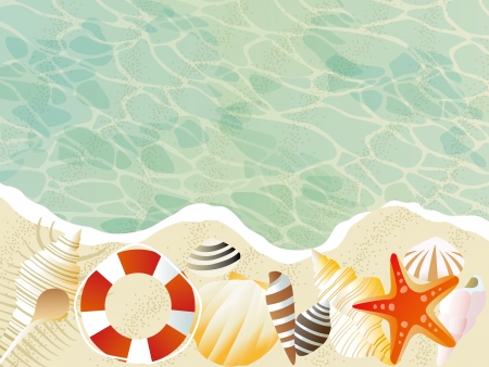 A beach with a beautiful shellfish のイラスト素材